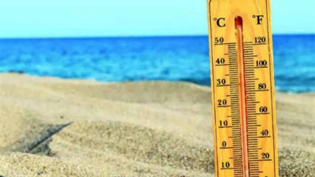 تحذير لمرتادي طرق القاهرة.. الأرصاد الجوية توضح خريطة الشبورة والرياح خلال الساعات القادمة